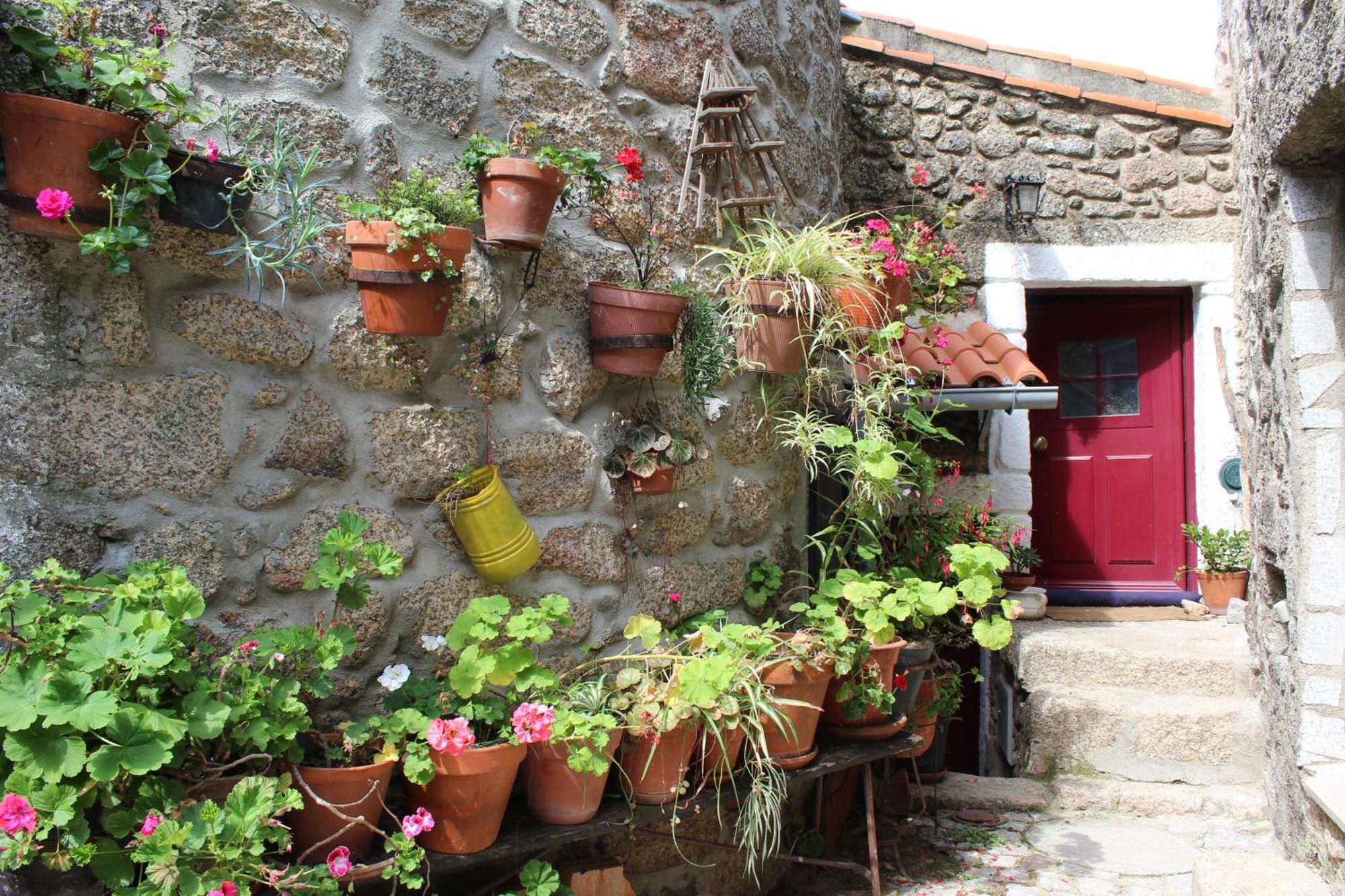 Lugar Sao Salvador De Monsanto Villa ภายนอก รูปภาพ